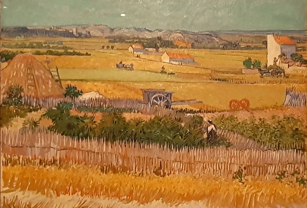 harverst at la crau